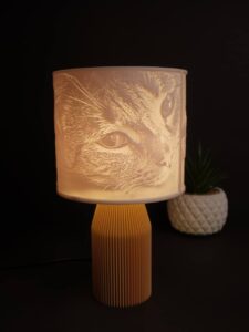 Leuchtende Bildlicht Lithophanie Lampe mit Katzenfoto als Geschenk fuer Tierliebhaber