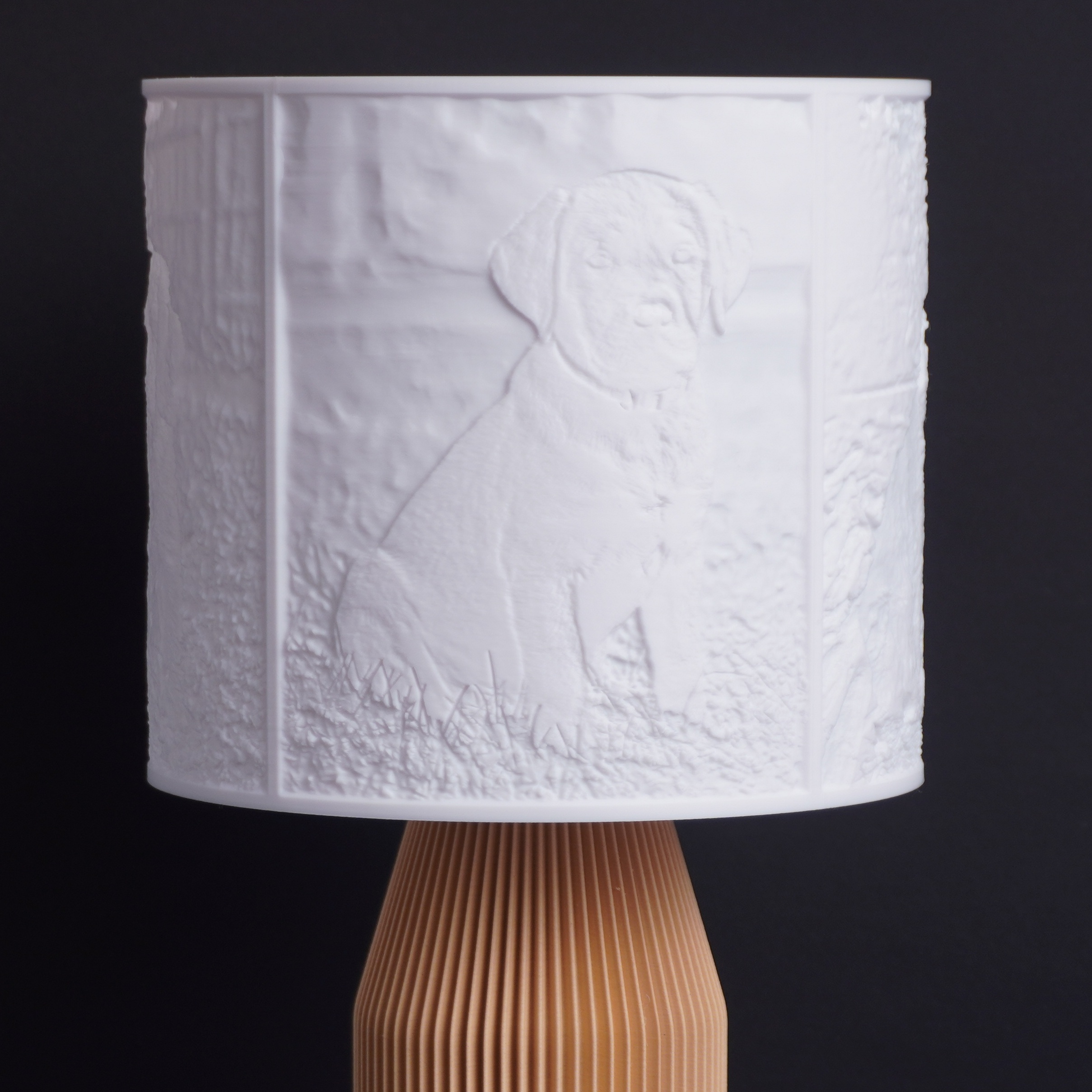 Bildlicht Lampe ausgeschaltet Beispiel 2