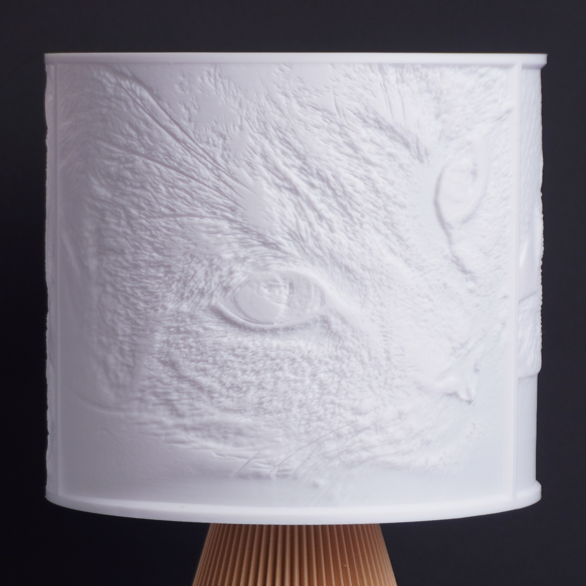 Bildlicht Lampe ausgeschaltet Beispiel 5